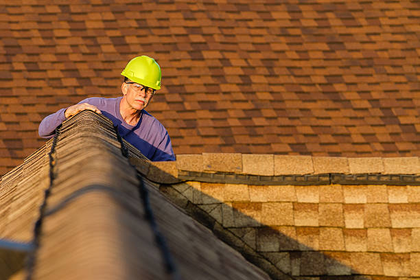 Best Roof Gutter Cleaning  in Frankfort, KY